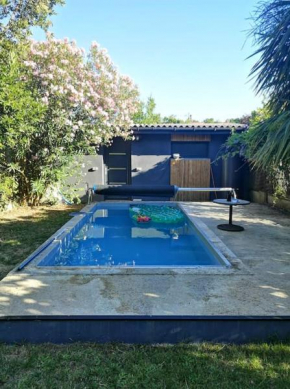 Échoppe bordelaise avec jardin et piscine